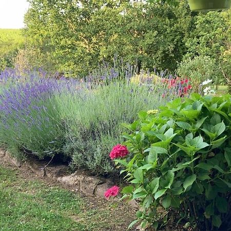 Au Bras D'Argent Bed and Breakfast Berthez Buitenkant foto