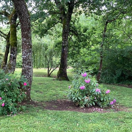 Au Bras D'Argent Bed and Breakfast Berthez Buitenkant foto