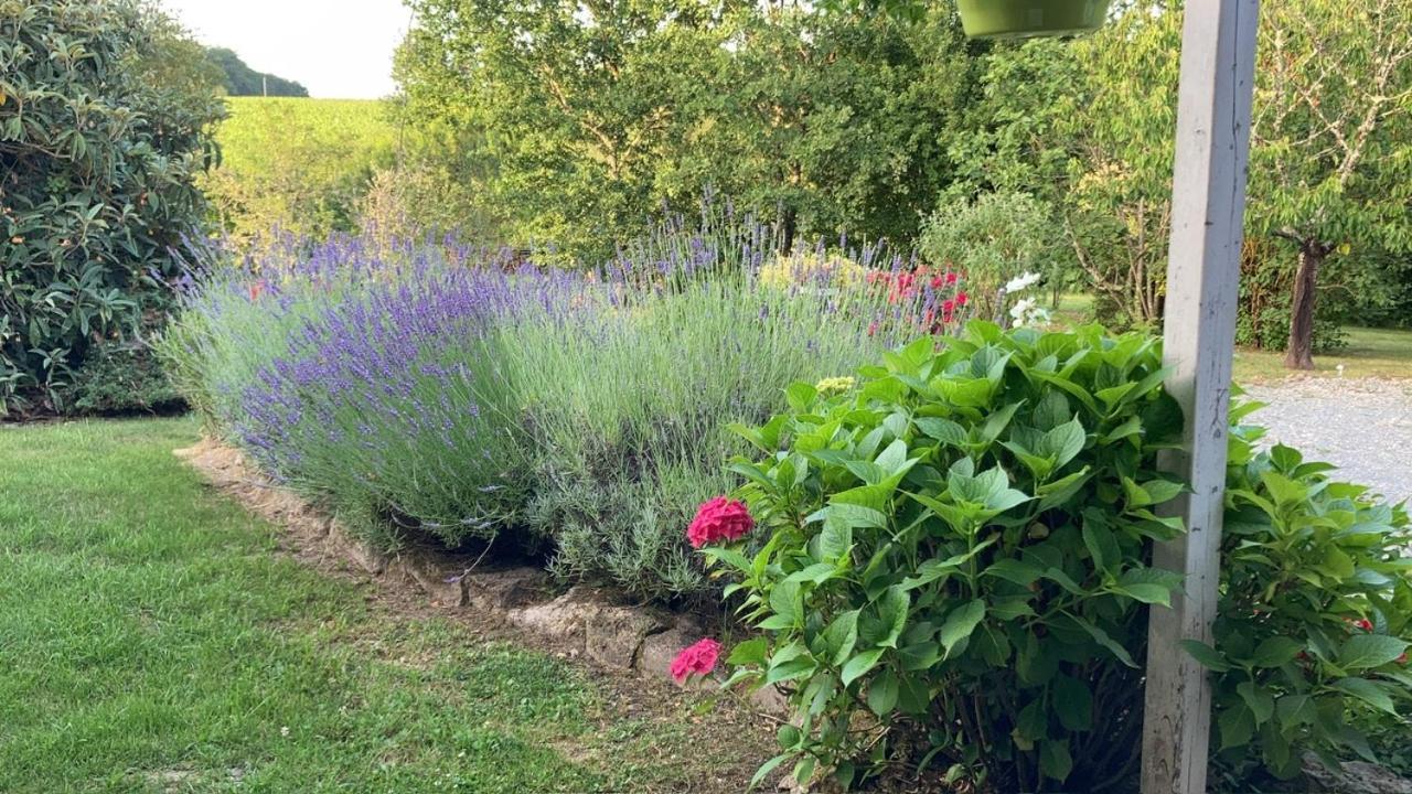 Au Bras D'Argent Bed and Breakfast Berthez Buitenkant foto