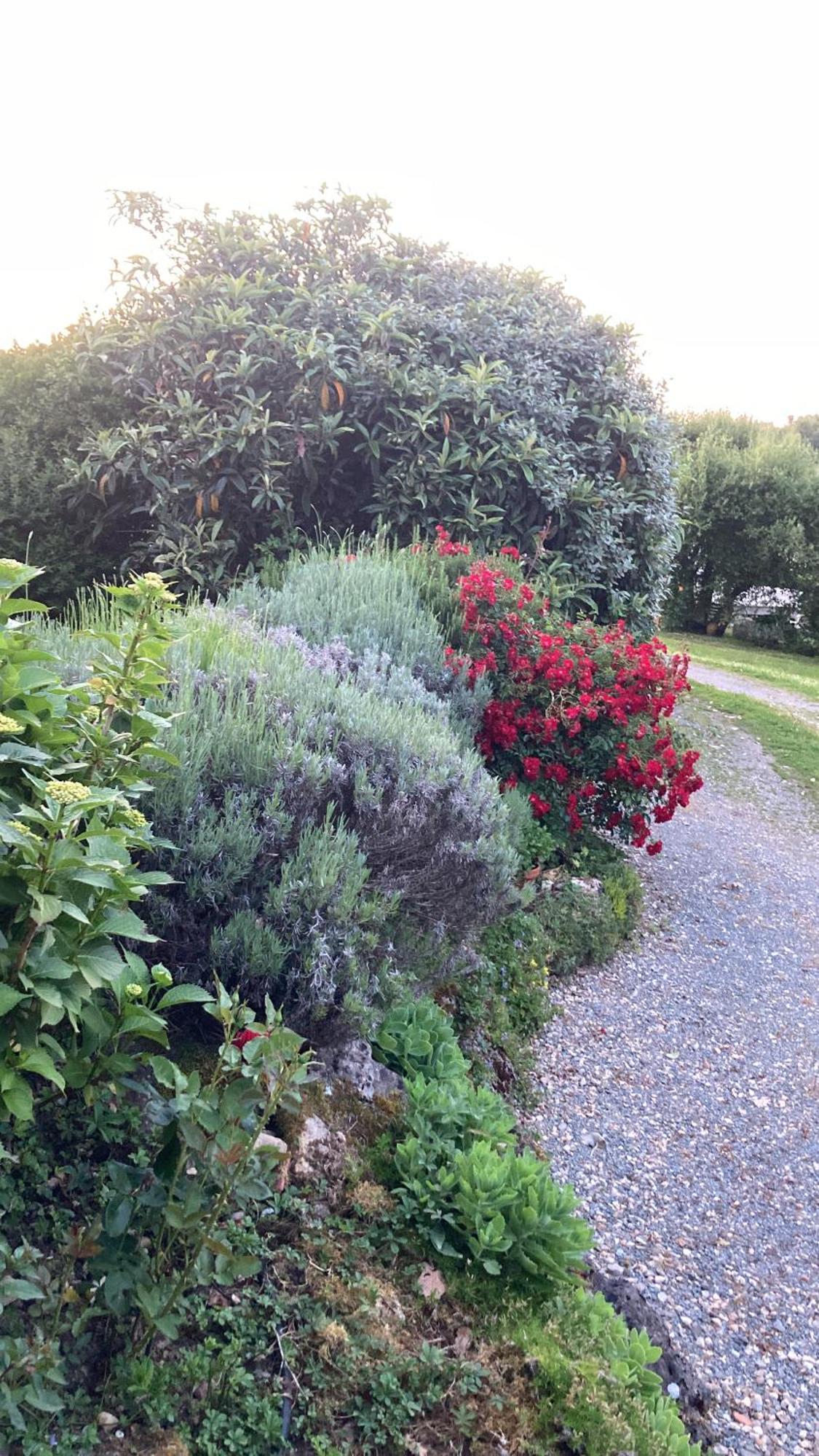 Au Bras D'Argent Bed and Breakfast Berthez Buitenkant foto