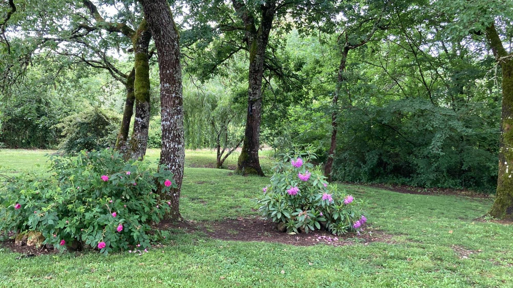 Au Bras D'Argent Bed and Breakfast Berthez Buitenkant foto